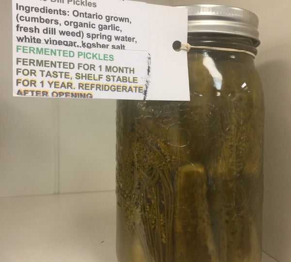 Fermented dill pickles