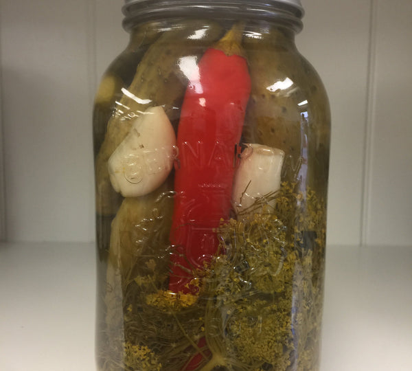 Hot Garlic Dills Pickles 1Ltr