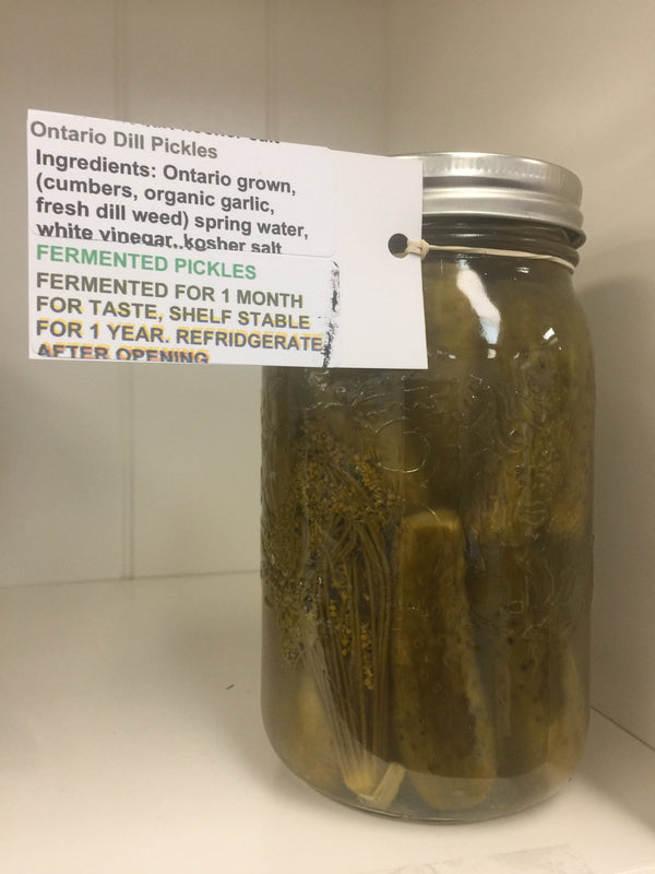 Fermented dill pickles