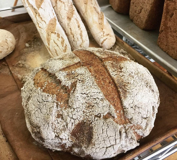 Gluten Free Free Form Sourdough New kind