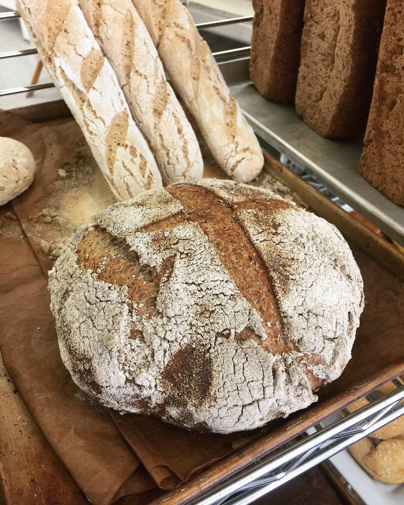 Gluten Free Free Form Sourdough New kind